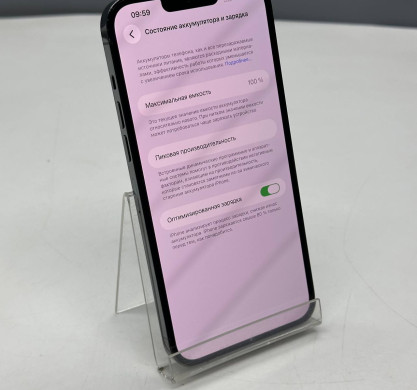 iPhone 13 Pro Max 256GB Alpine Green 100%